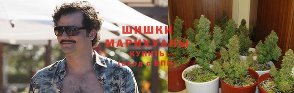 spice Балахна