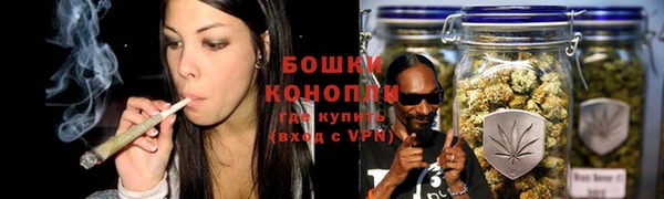 стаф Баксан