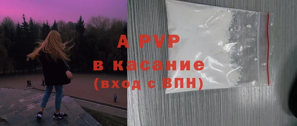 стаф Баксан